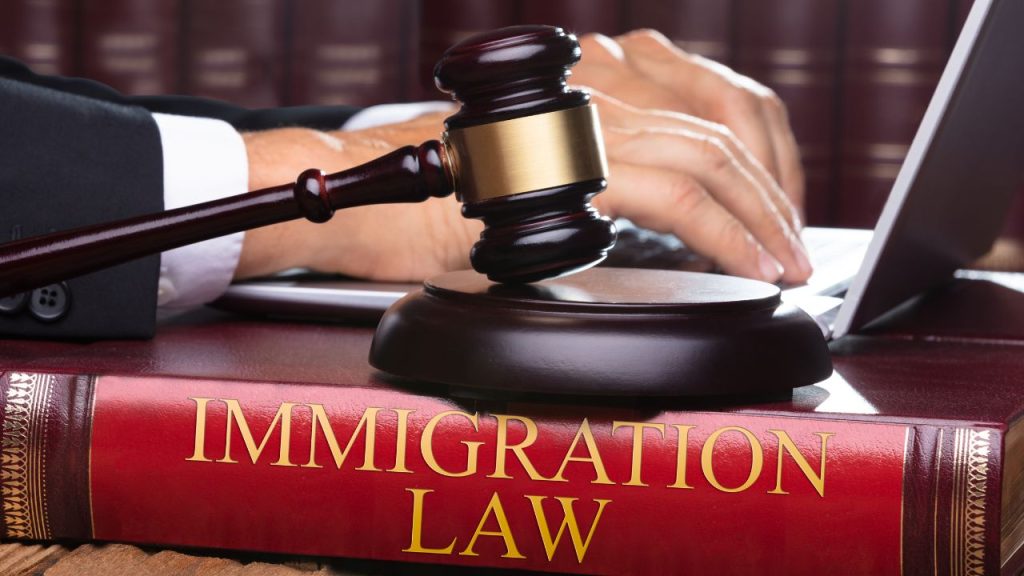 Immigration Law Reference for Self-Study