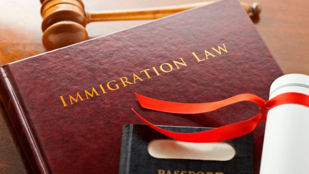 immigration Law Book