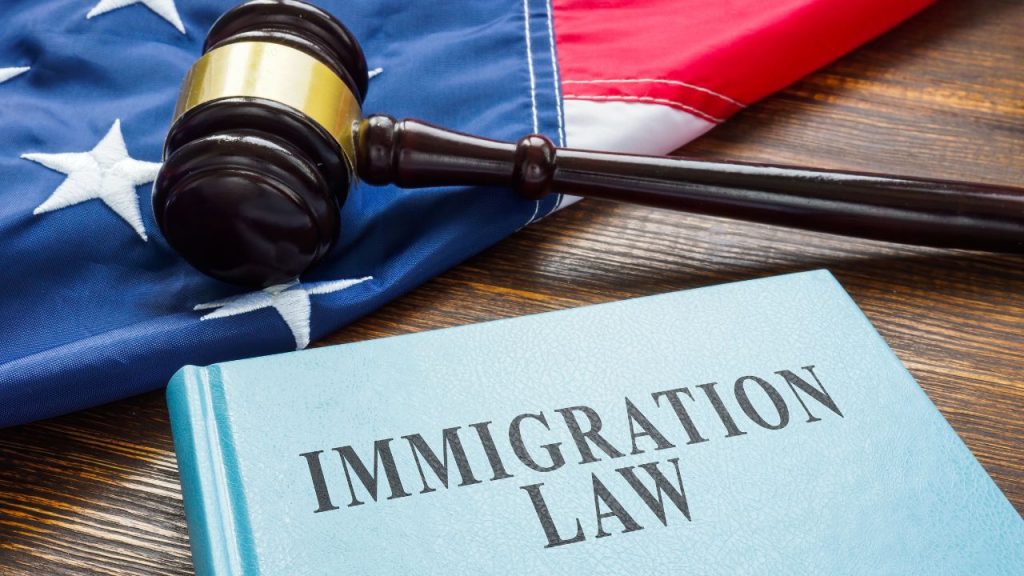 books about immigration law