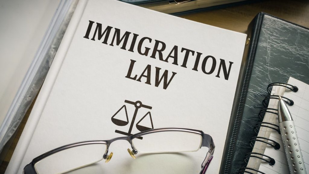 Best Books About Immigration Law for Beginners