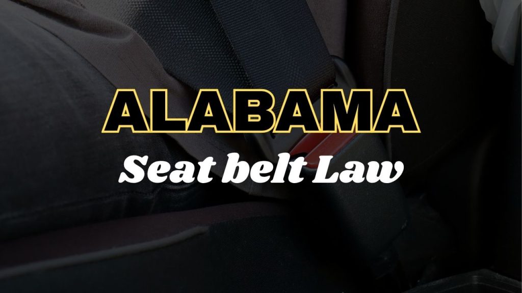 Alabama seat belt law