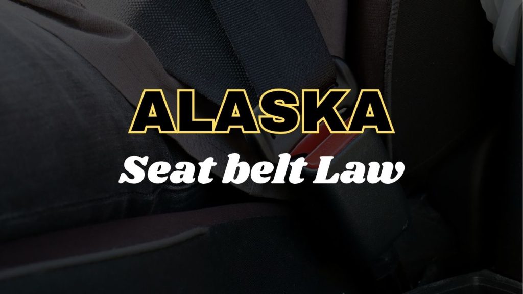 Alaska seat belt law