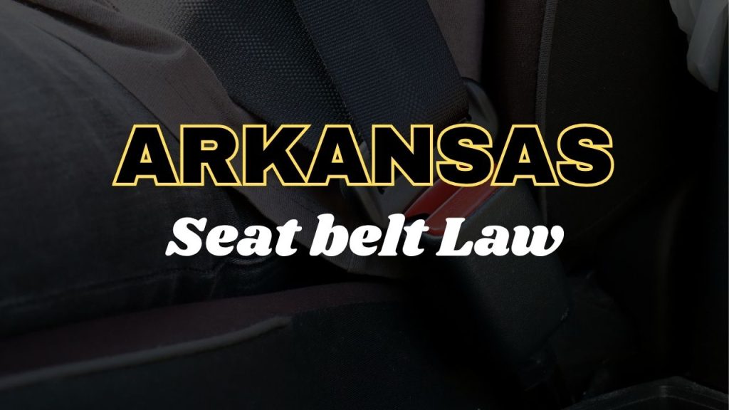 Arkansas seat belt law