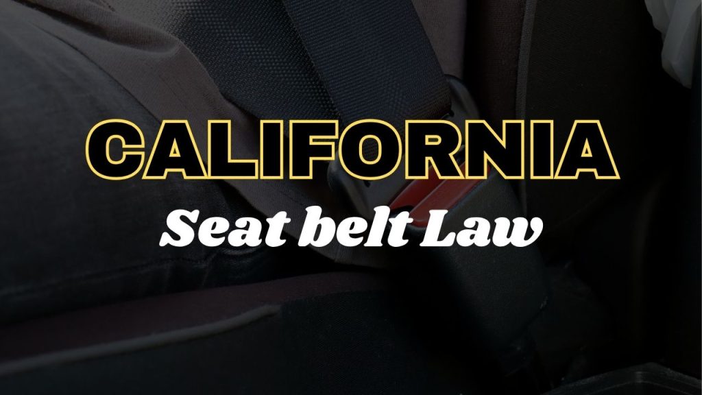 California seat belt law