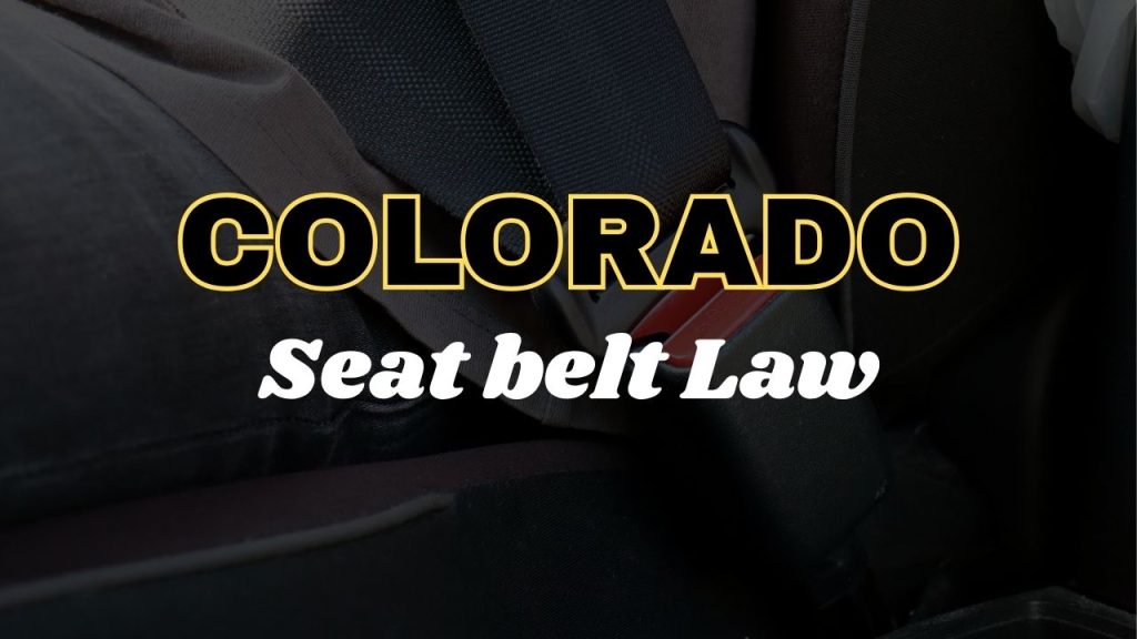 Colorado seat belt law