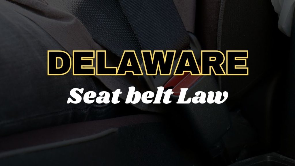 Delaware seat belt law