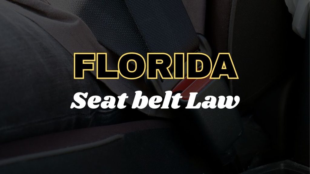 Florida seat belt law