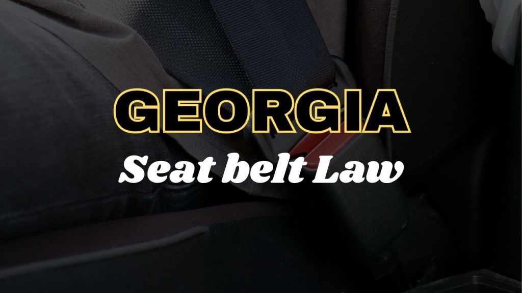 Georgia seat belt law