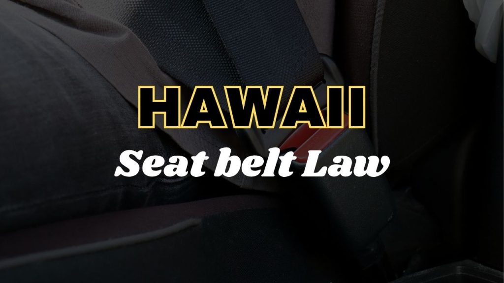 Hawaii seat belt law