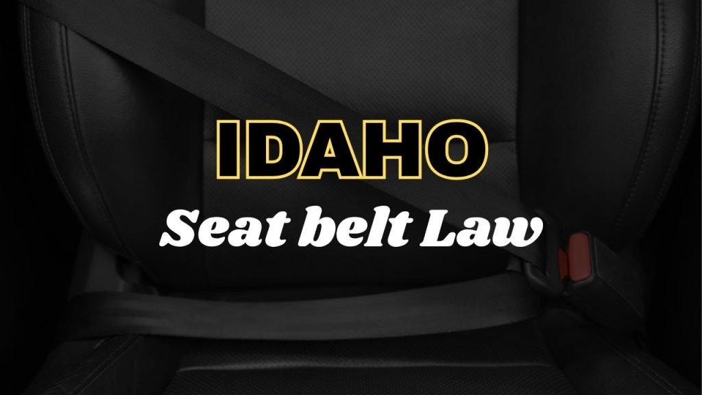 Idaho seat belt law