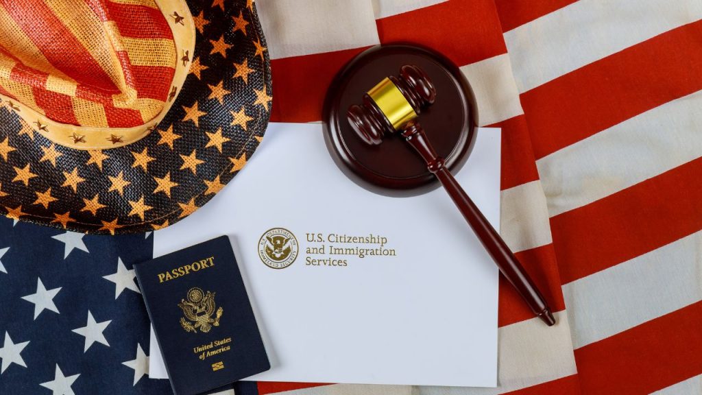 Immigration Lawyer