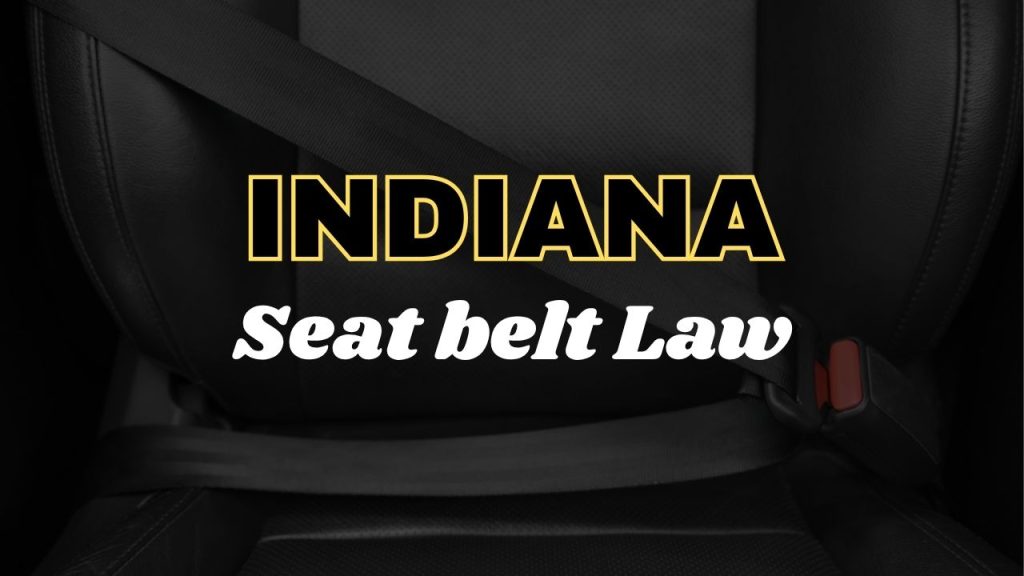 Indiana seat belt law