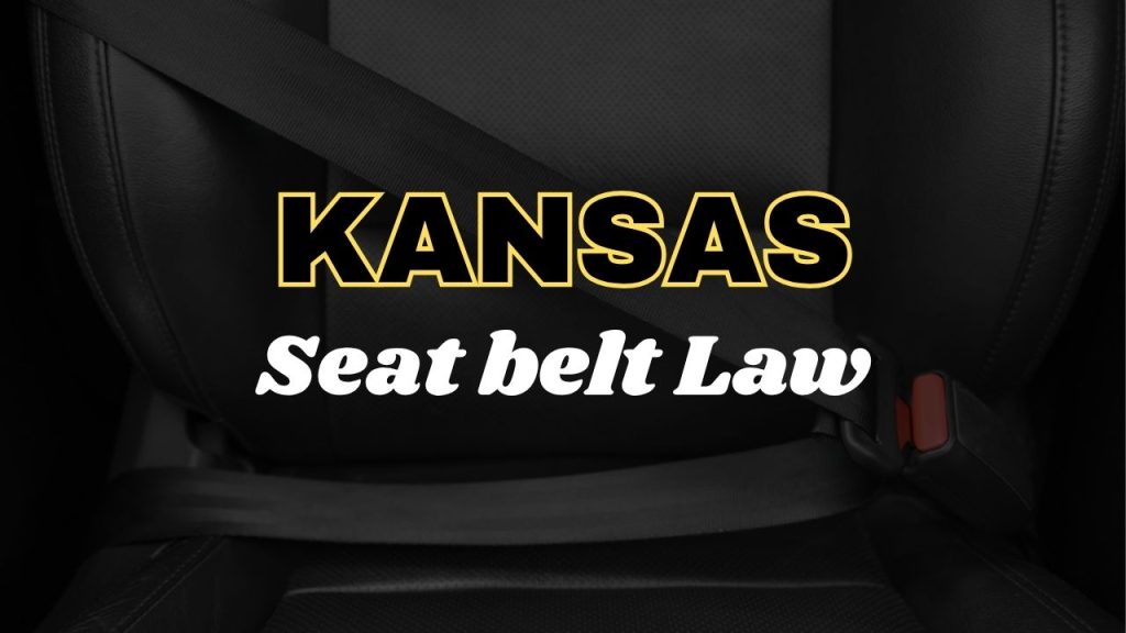 Kansas seat belt law