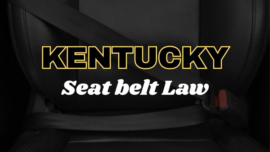 Kentucky seat belt law
