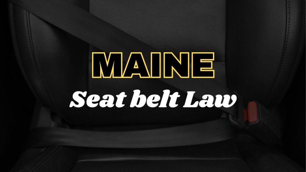 Maine seat belt law