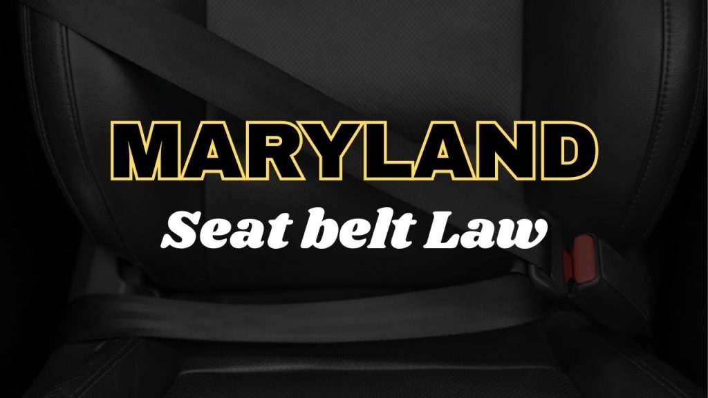 Maryland seat belt law