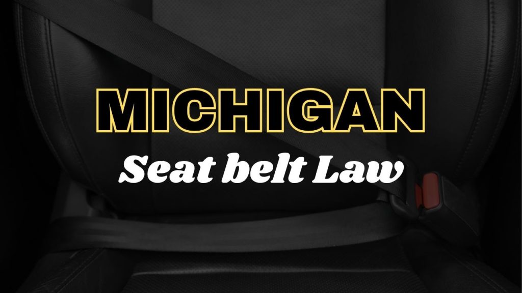 Michigan Seat Belt Law