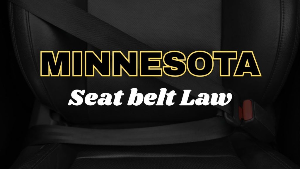 Minnesota seat belt law