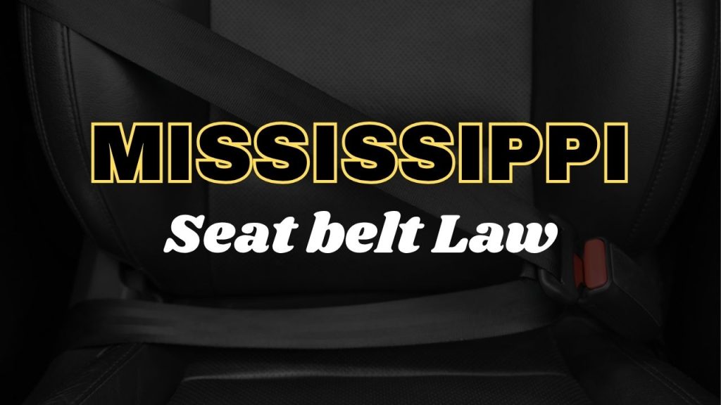 Mississippi seat belt law