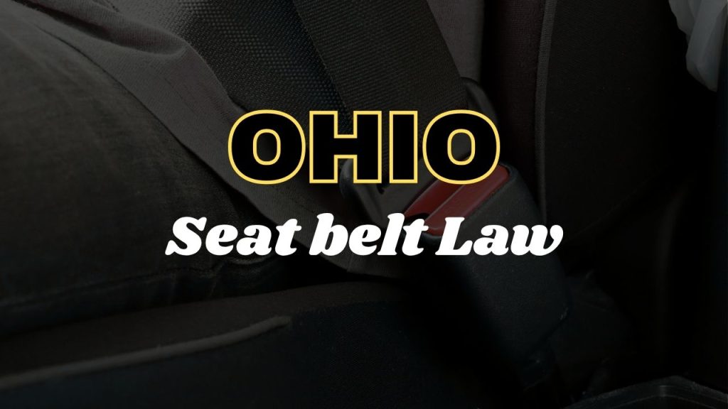 Ohio seat belt law