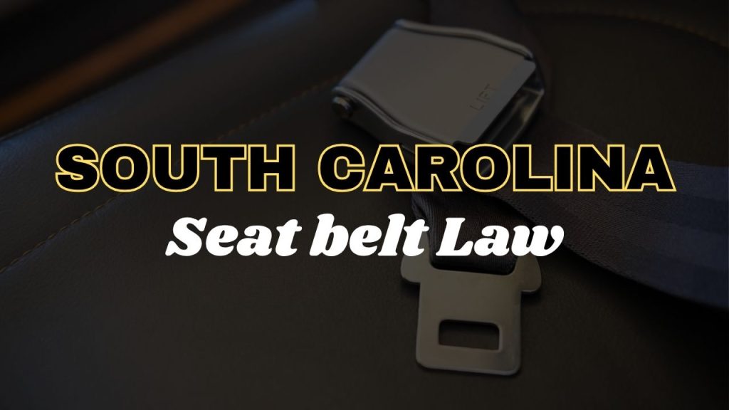 South Carolina seat belt law