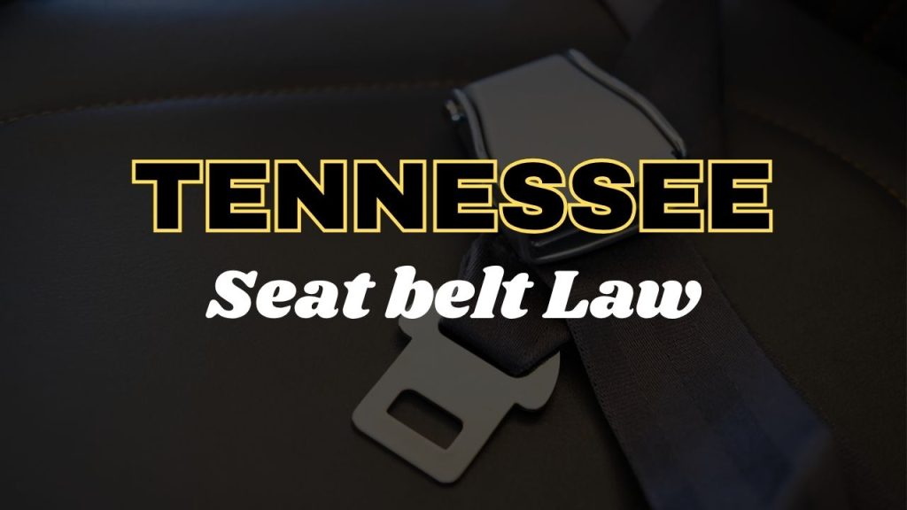 Tennessee seat belt law