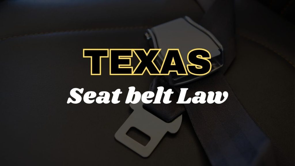 Texas seat belt law