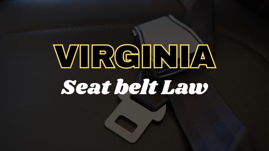 Virginia seat belt law