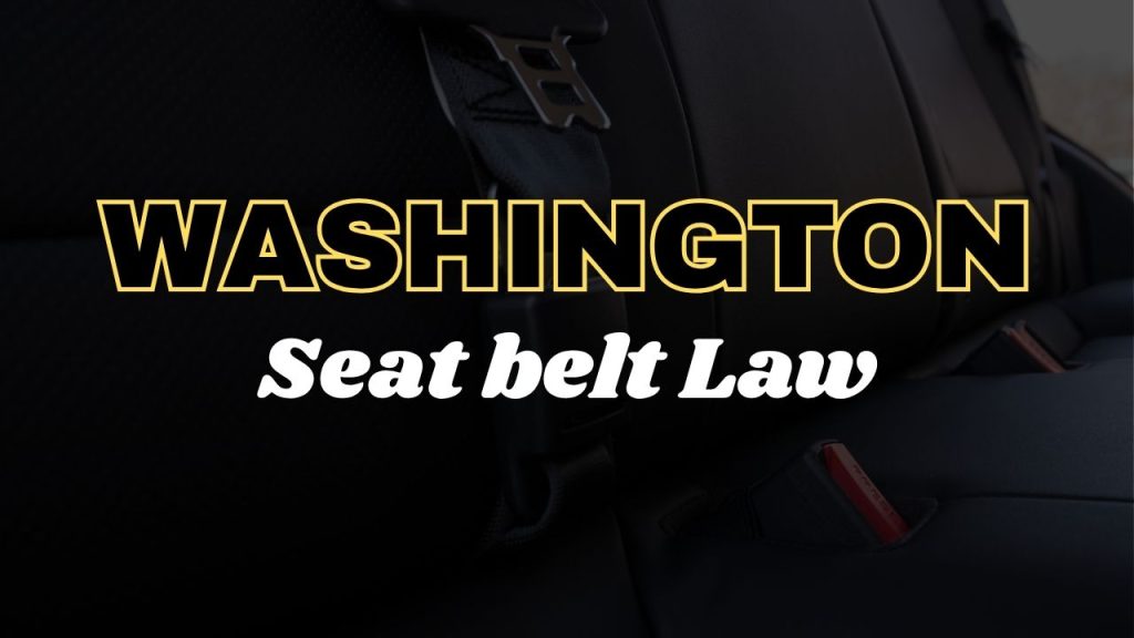 Washington seat belt law