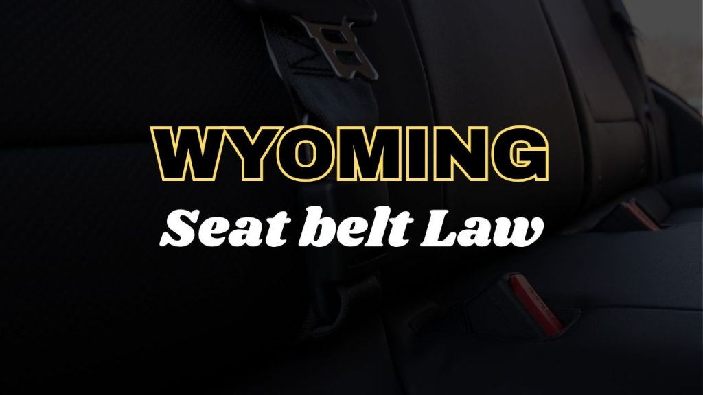 Wyoming seat belt law