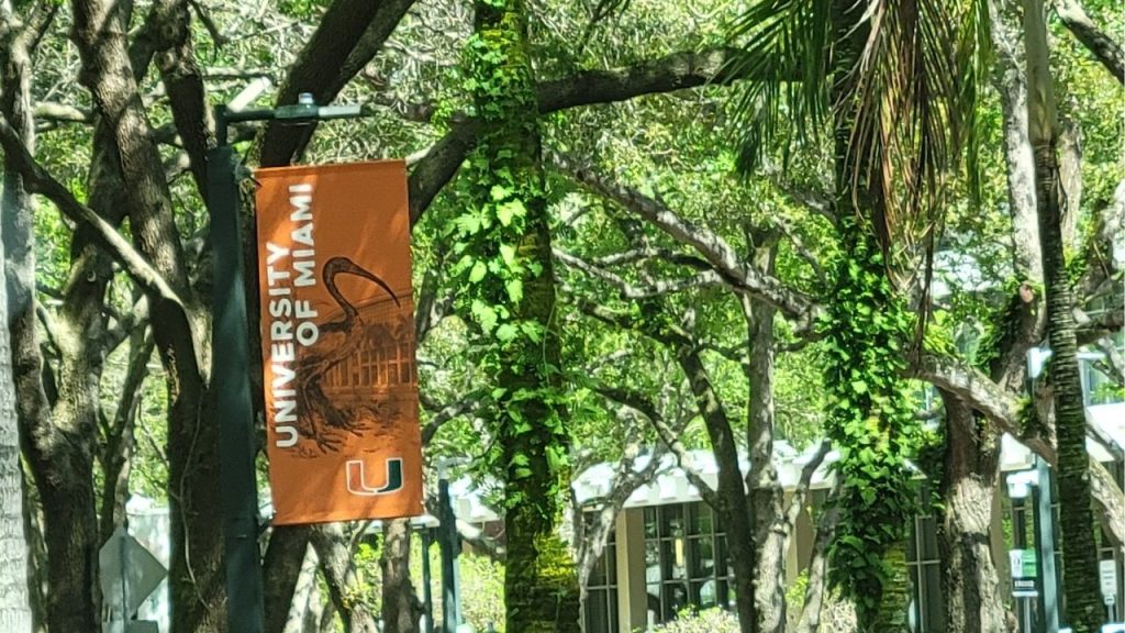 University of Miami Law School Acceptance Rate