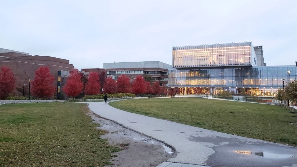 York University Law School Acceptance Rate